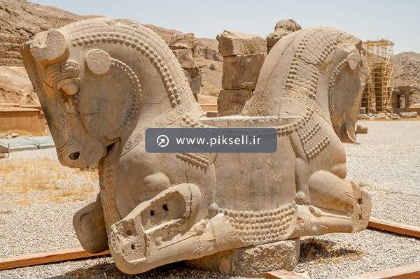 تصویر با کیفیت از مجسمه های تخت جمشید