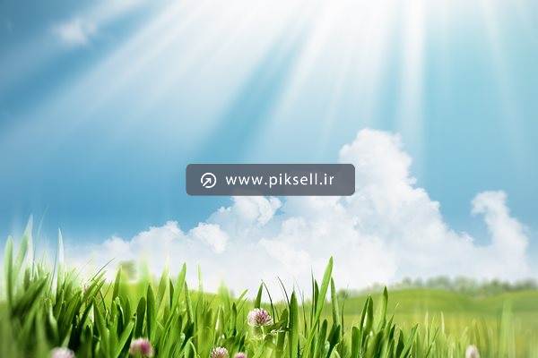 دانلود عکس با کیفیت از علفزار و آسمان آبی و ابر