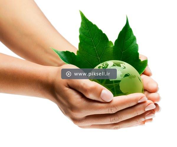 عکس با کیفیت از کره زمین سبز و برگ در کف دست