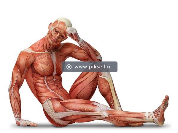 عکس با کیفیت از مرد نشسته با بافت ماهیچه ای و گوشتی