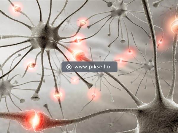 عکس با کیفیت از پس زمینه نورون ها و رشته های عصبی