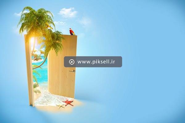 دانلود تصویر با کیفیت از در باز شده به سمت ساحل و درخت نارگیل