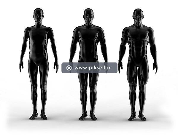عکس با کیفیت از آناتومی بدن انسان بصورت ژله ای