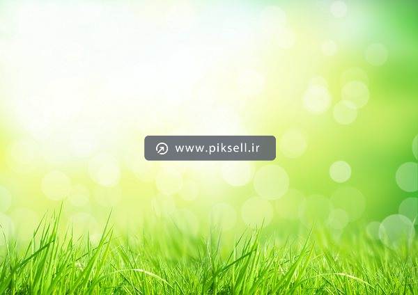 تصویر با کیفیت از طبیعت سبز و چمنزار