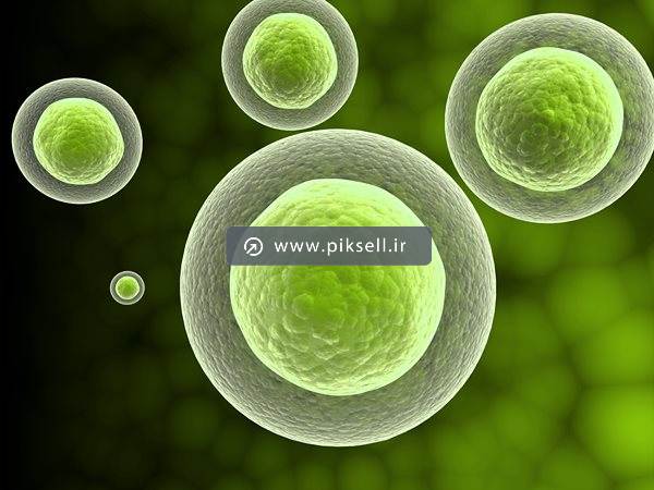 عکس با کیفیت از نمای نزدیک سلول و هسته اتم