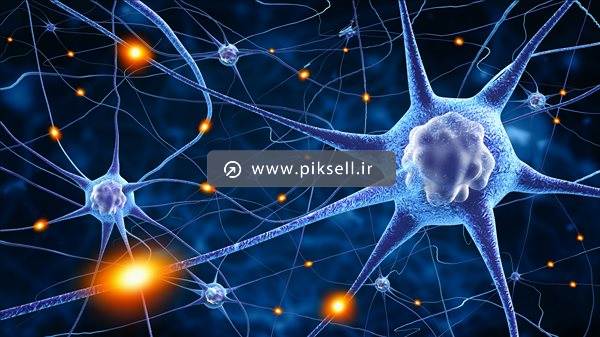 دانلود عکس با کیفیت از پس زمینه نورون ها و سلول های عصبی