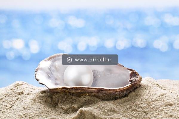 دانلود عکس با کیفیت از منظره دریا ، ساحل و صدف و مروارید