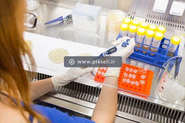 دانلود عکس با کیفیت از دانشمند زن در حال نمونه برداری با پیپت در آزمایشگاه