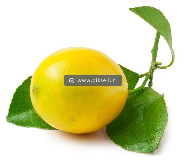 دانلود عکس با کیفیت از لیمو ترش سنگی زرد و برگ و ساقه