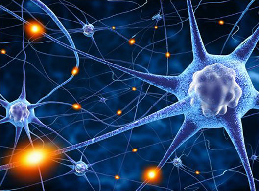 دانلود عکس با کیفیت از پس زمینه نورون ها و سلول های عصبی
