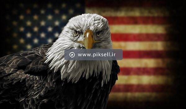 تصویر با کیفیت از عقاب خشمگین و پرچم آمریکا