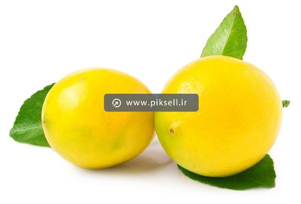 عکس با کیفیت از لیمو ترش سنگی و برگ سبز