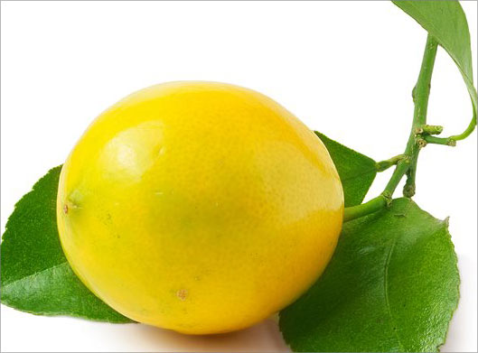 دانلود عکس با کیفیت از لیمو ترش سنگی زرد و برگ و ساقه