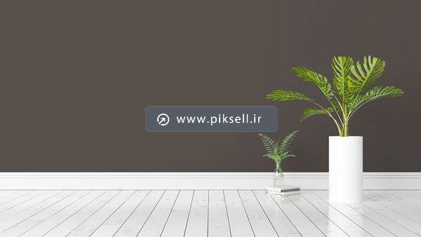 عکس با کیفیت از دیوار خالی و پارکت و دو گلدان گل